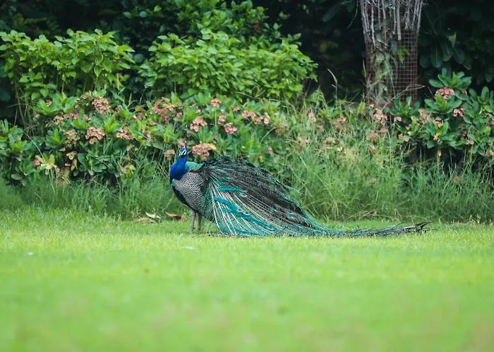Welcomheritage Bal Samand Lake Palace